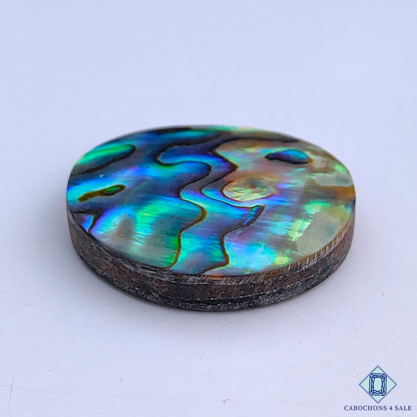 Abalone Shell