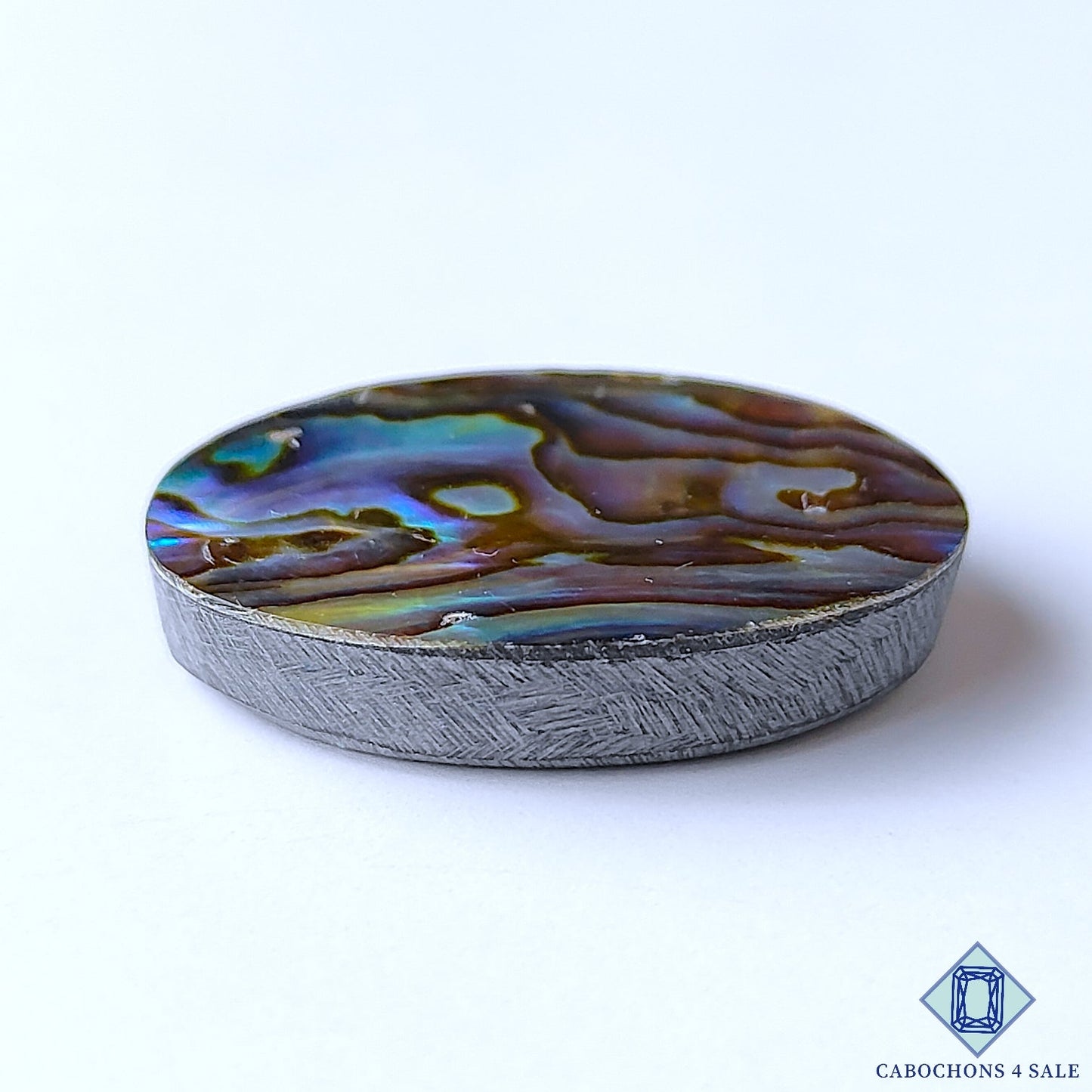Abalone Shell