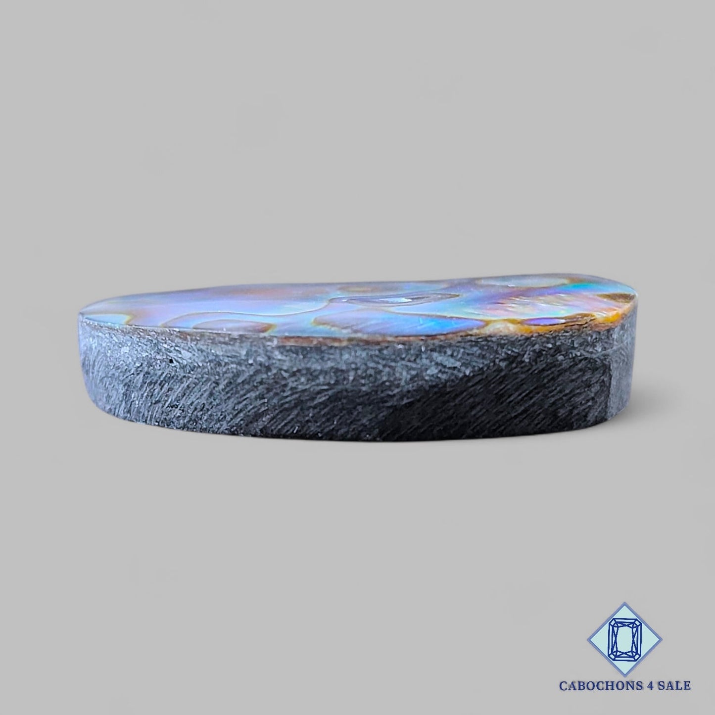 Natural Abalone shell Gemstone Oval Cabochons 31*23*6mm from New Zealand available for sale