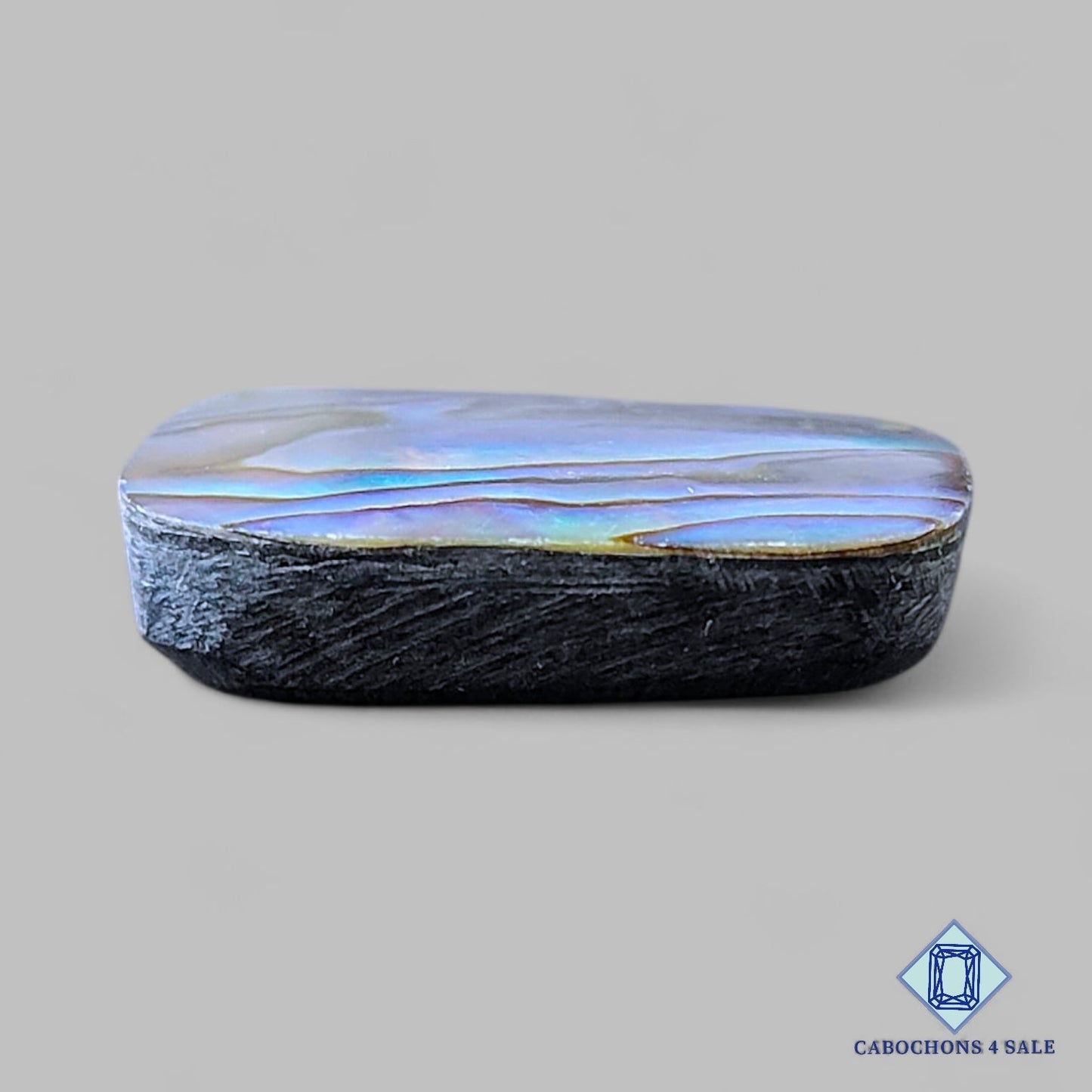 Natural Abalone shell Gemstone Fancy Cabochons 24*24*6mm from New Zealand available for sale