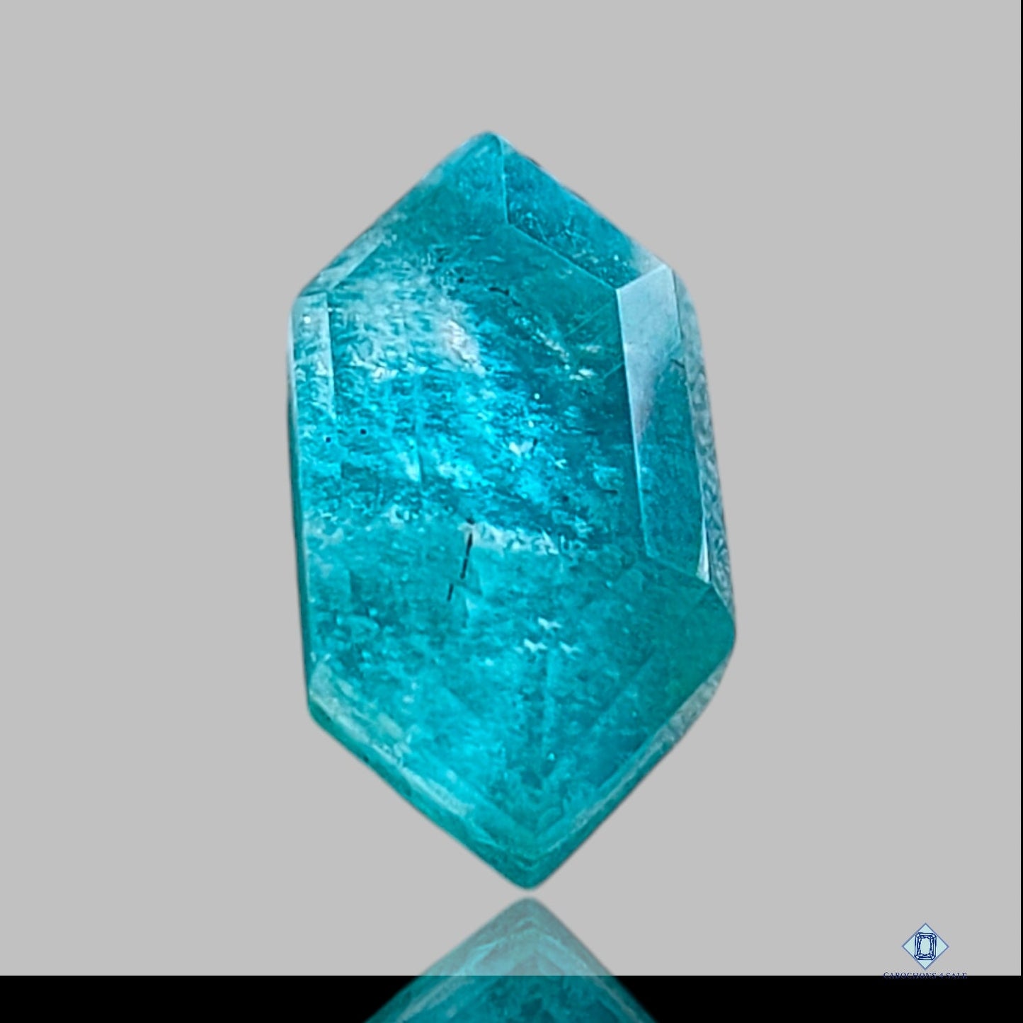 Amazonite + Crystal Quartz Doublets Hexagon Doublets