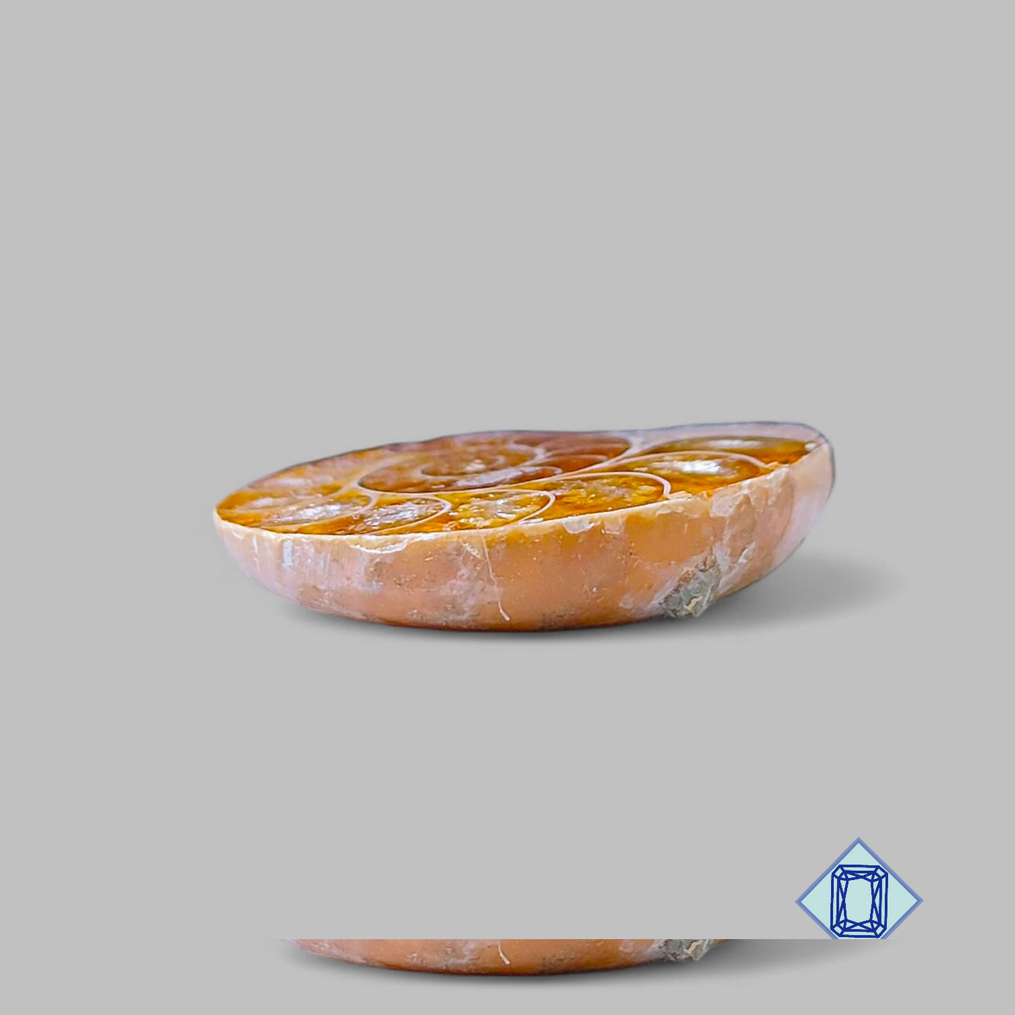 Ammonite Fancy Druzy