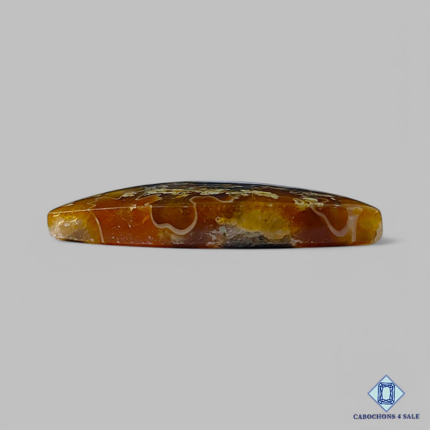 Cabujones de amonita natural de 35 x 18 x 5 mm, disponibles para la venta en Canadá.