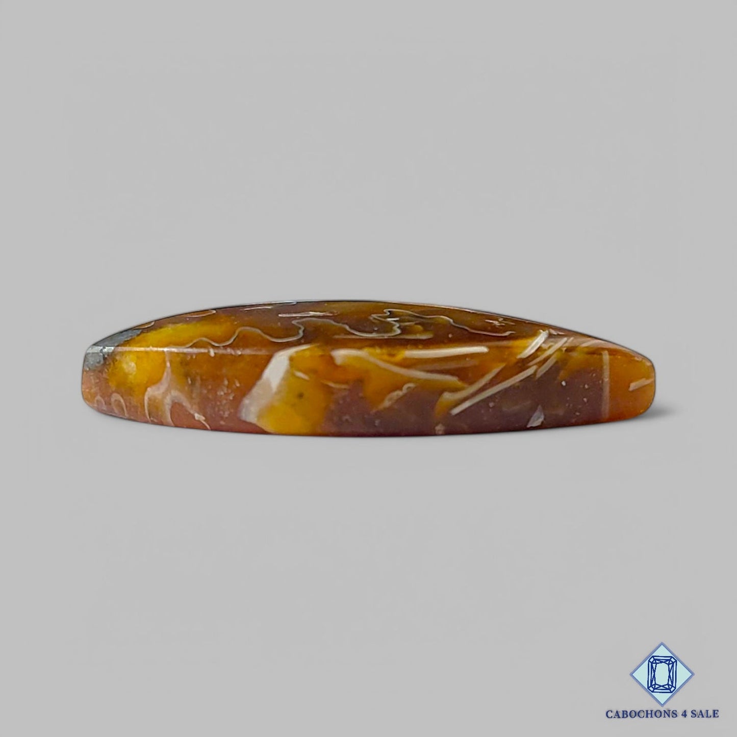 Cabujones de amonita natural de 27 x 15 x 5 mm, disponibles para la venta en Canadá.