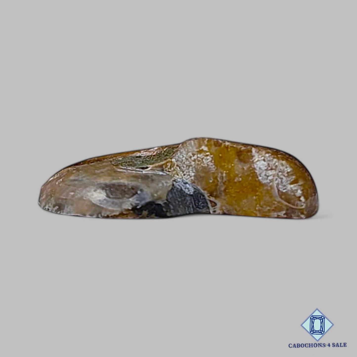 Piedra preciosa de amonita natural Druzy de lujo de 24 x 19 x 5 mm, procedente de Canadá, disponible para la venta.