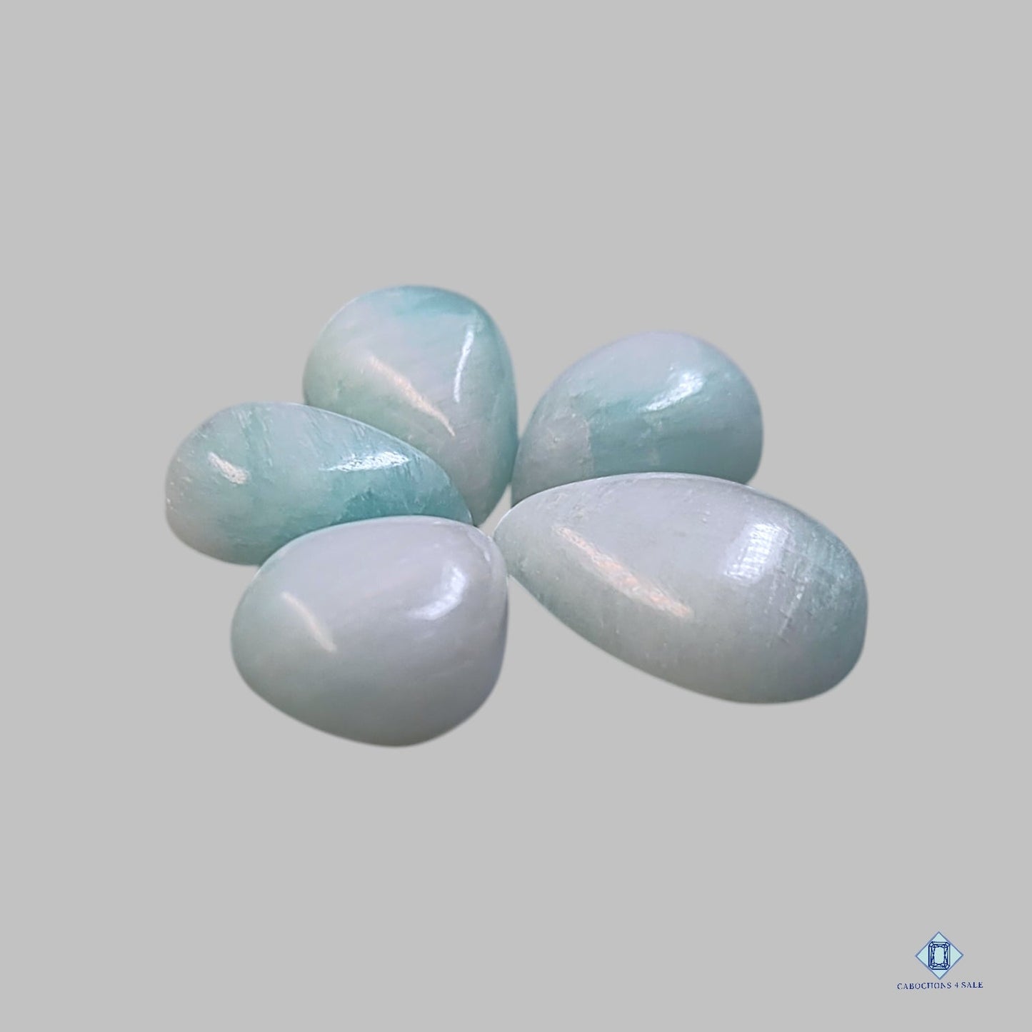 Lotes de formas mixtas de Argonita