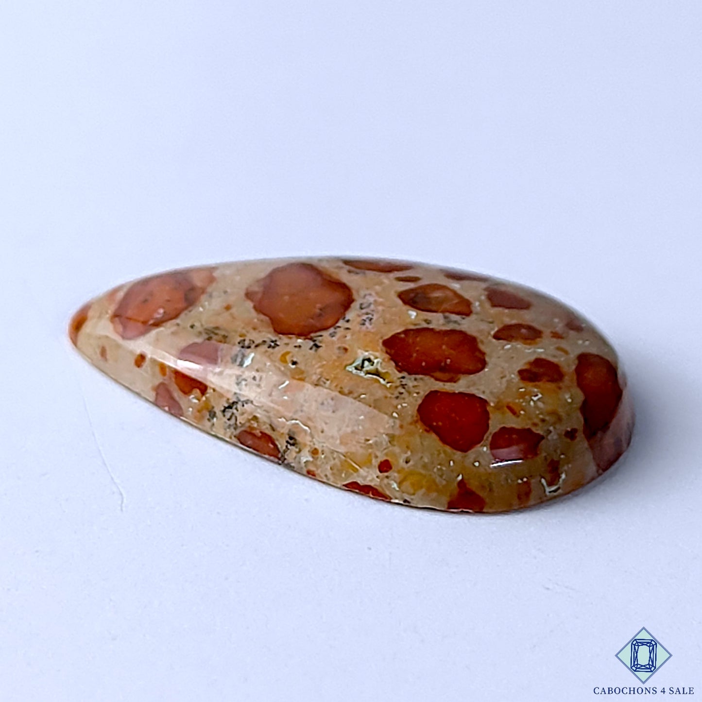 Asteroid Jasper