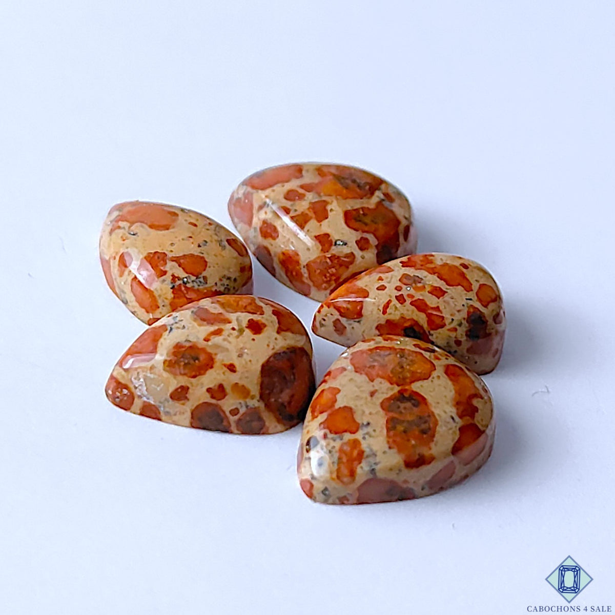 0-Asteroid_Jasper-C4sw23124-3-Pear-Brown-mm-Lots-Opaque-0