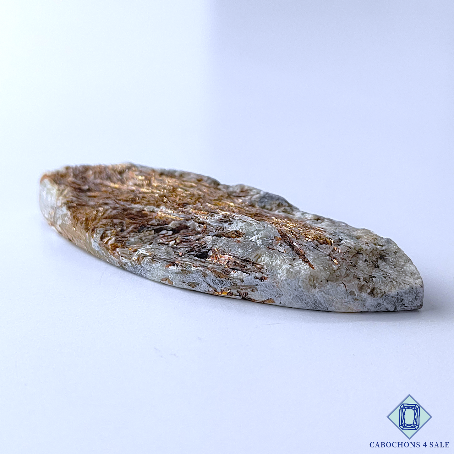 Astrophylite
