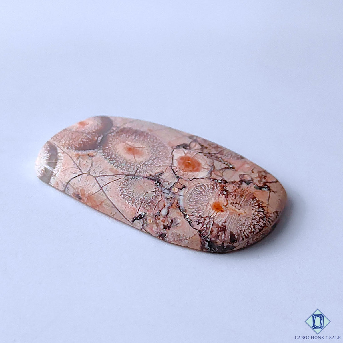 0-Bird_Eye_Jasper-C4sw23023-3-Fancy-Pink-mm-Cabochons-Opaque-0