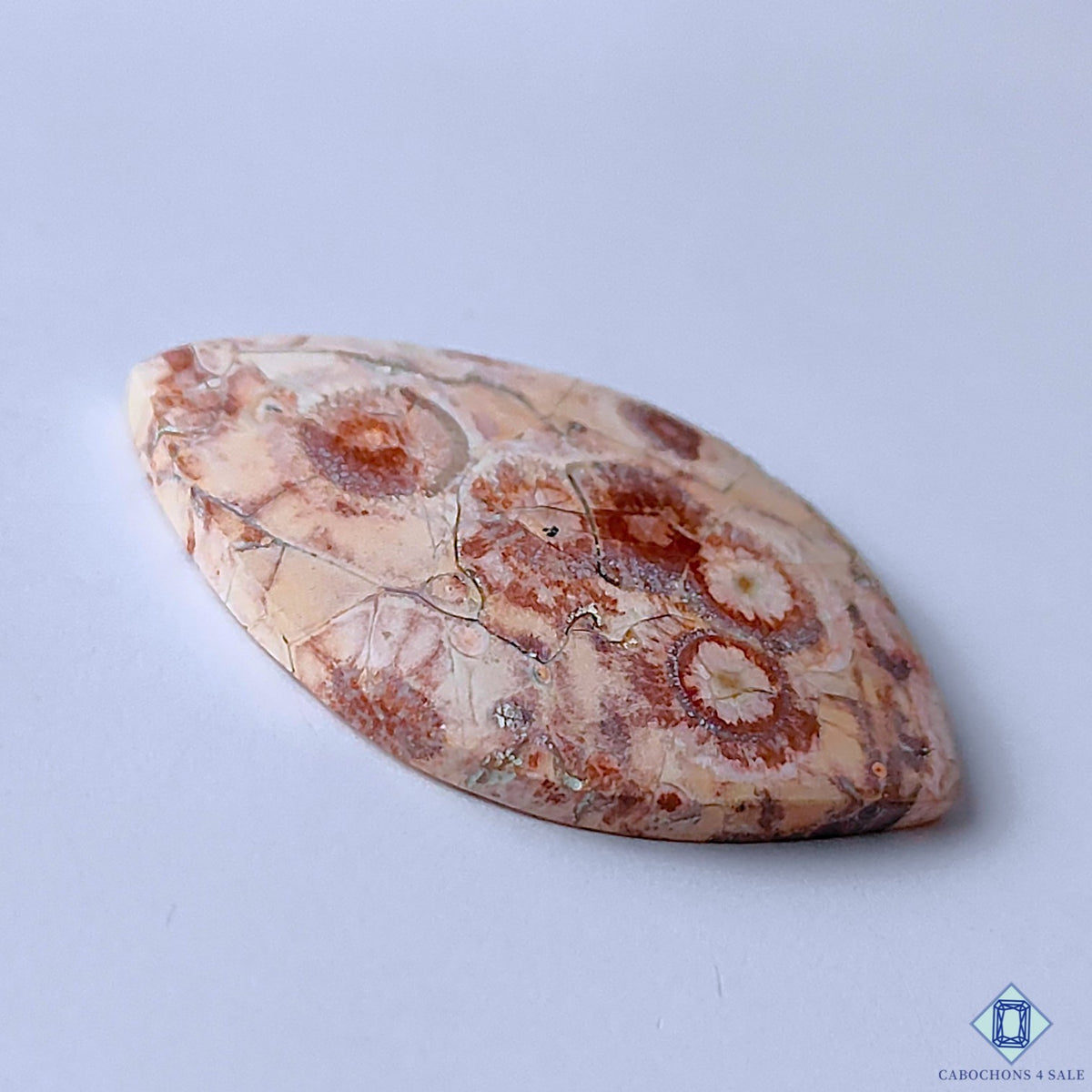 0-Bird_Eye_Jasper-C4sw23024-3-Fancy-Pink-mm-Cabochons-Opaque-0