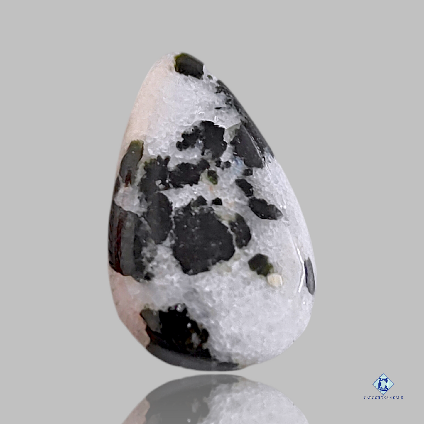 Cabujones de ágata de punto negro en forma de pera