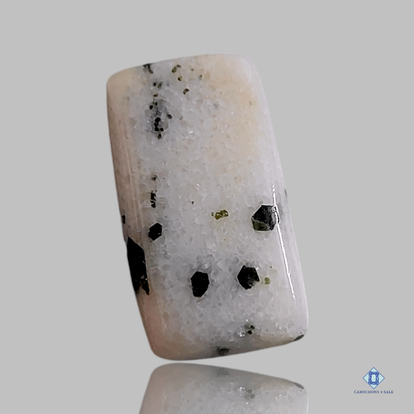 Cabujones rectangulares de ágata de punto negro