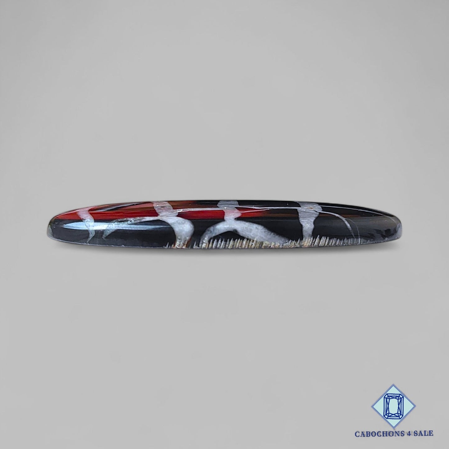 Natural Black Septarian Gemstone Oval Cabochons 53*25*5mm from Morocco available for sale