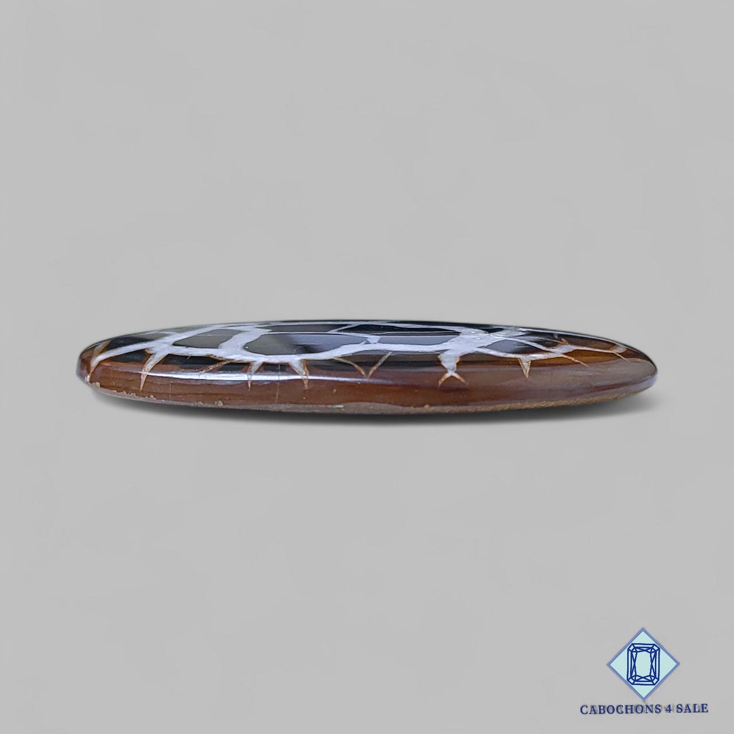 Cabujones ovalados de piedra preciosa septaria negra natural de 53 x 39 x 5 mm, procedentes de Marruecos, disponibles para la venta.