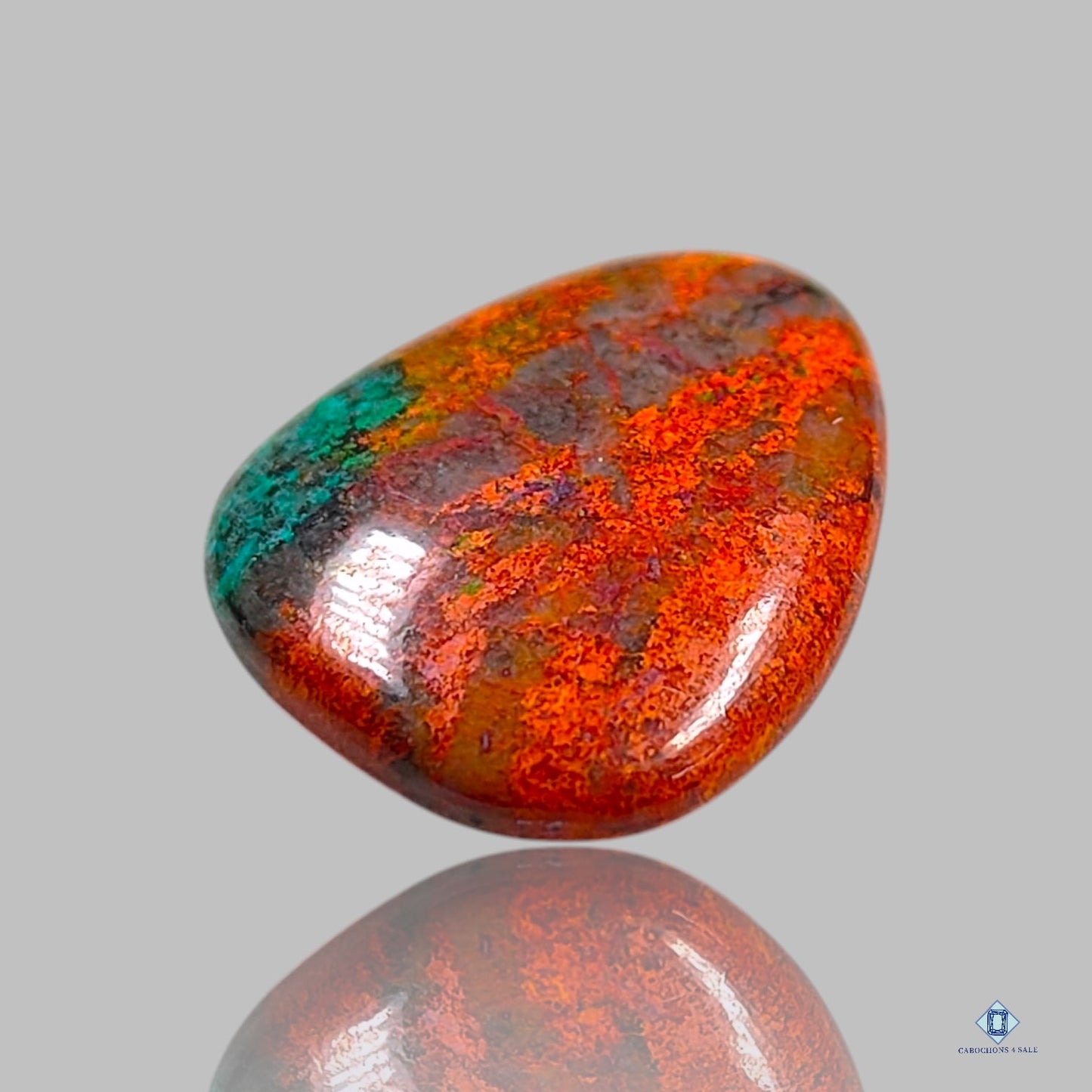 Cabujones de pera de jaspe de piedra de sangre