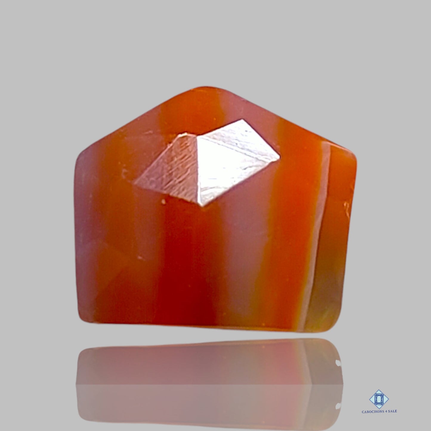 Botswana Agate Pentagon All cuts