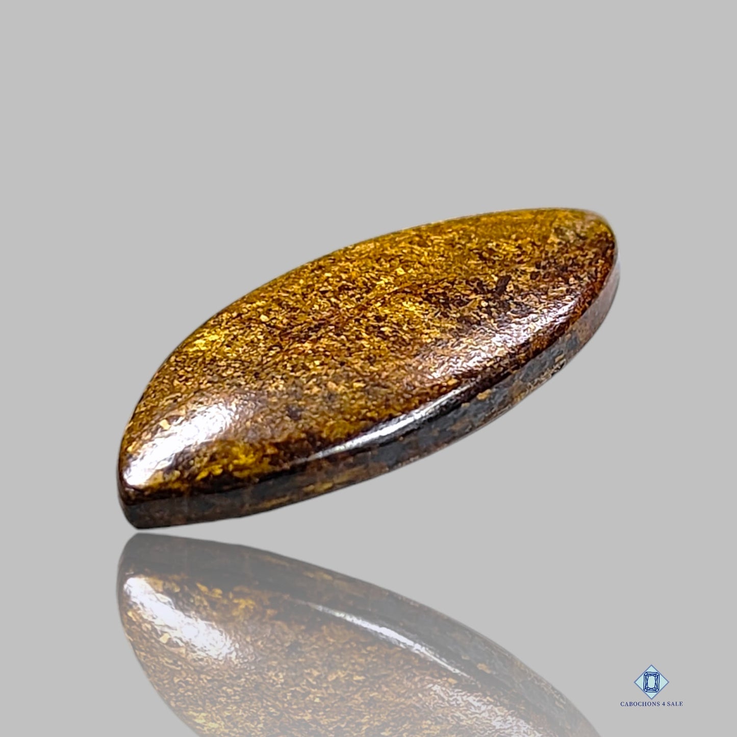 Bronzite Marquise Cabochons