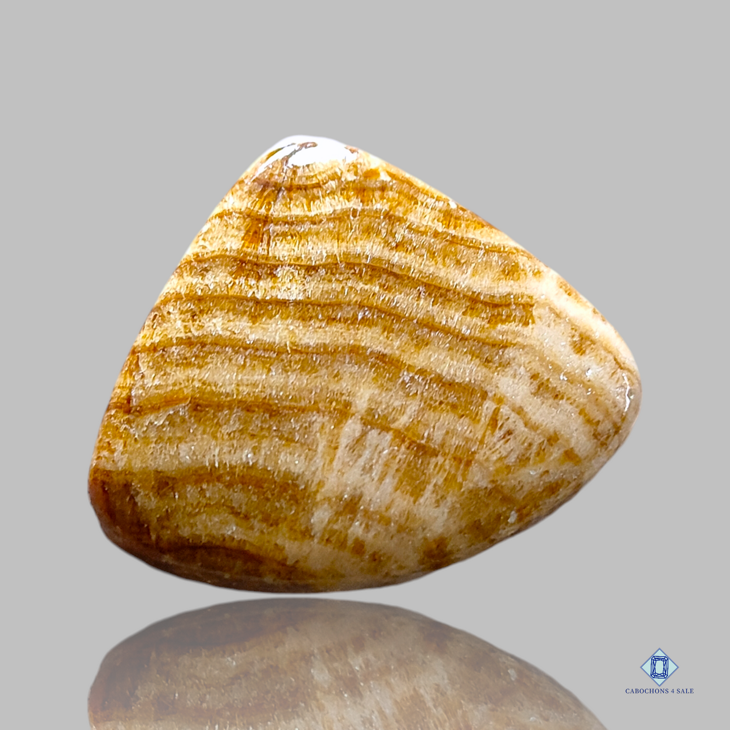 Brauner Argonit-Fancy-Cabochon