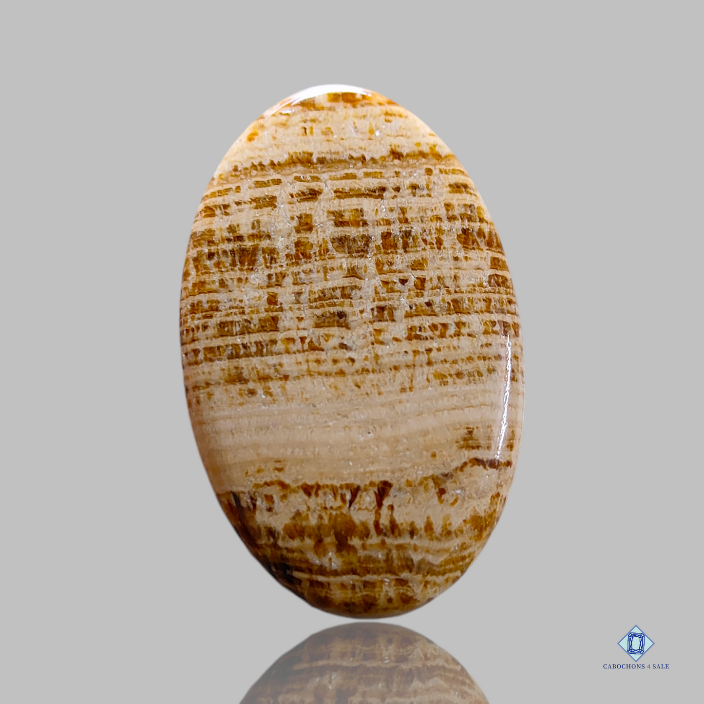 Cabujones ovalados de argonita marrón