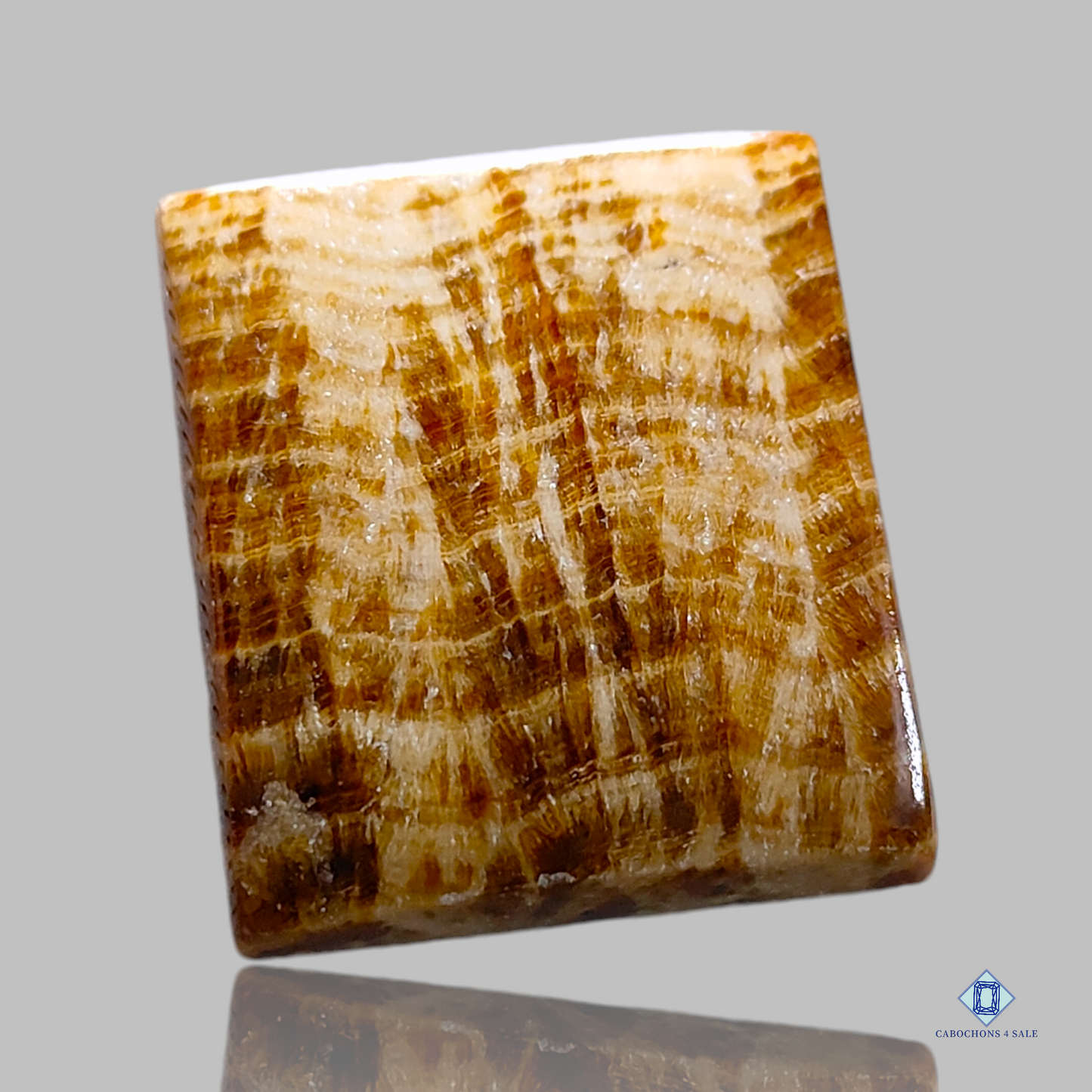 Braune Argonit-Rechteck-Cabochons