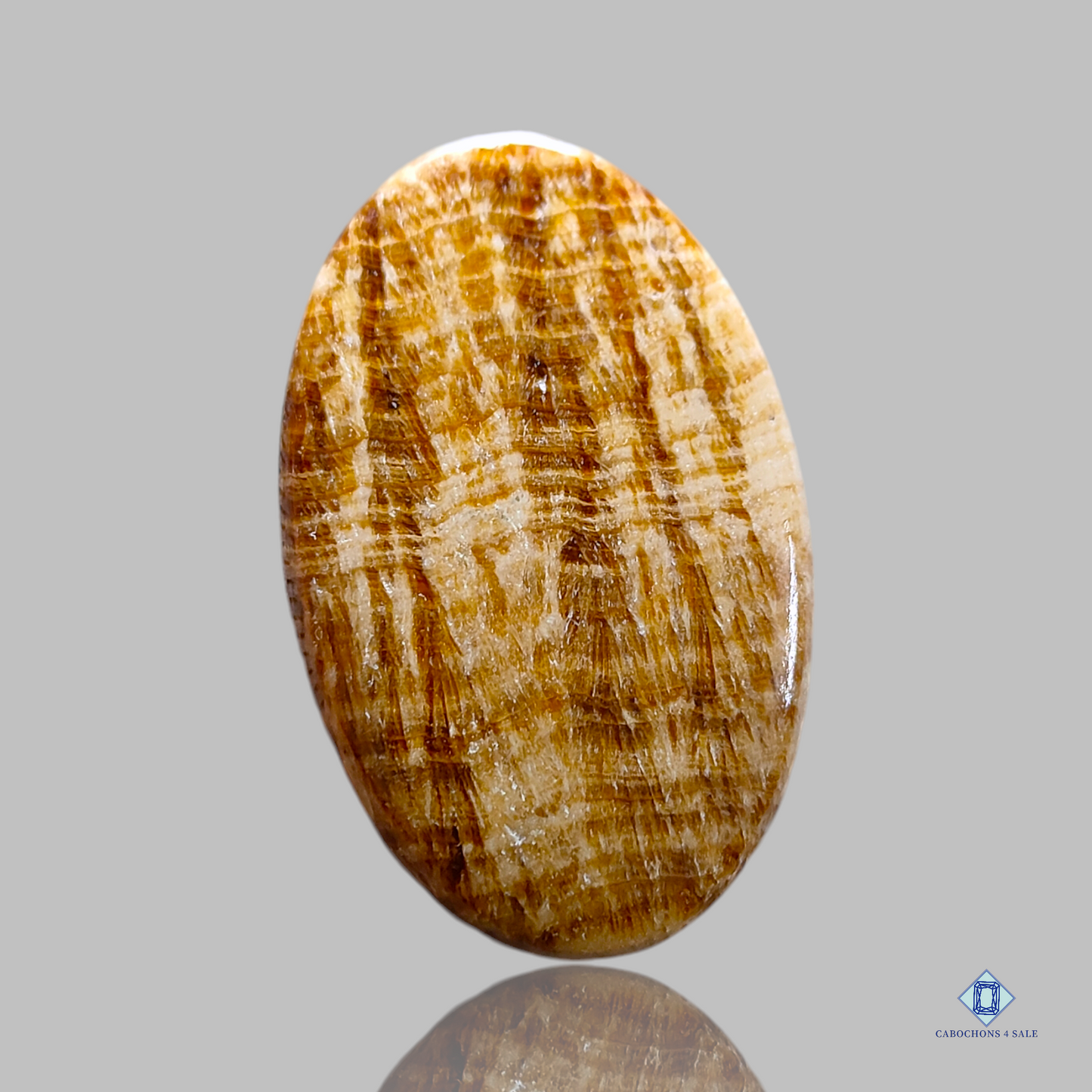 Cabujones ovalados de argonita marrón