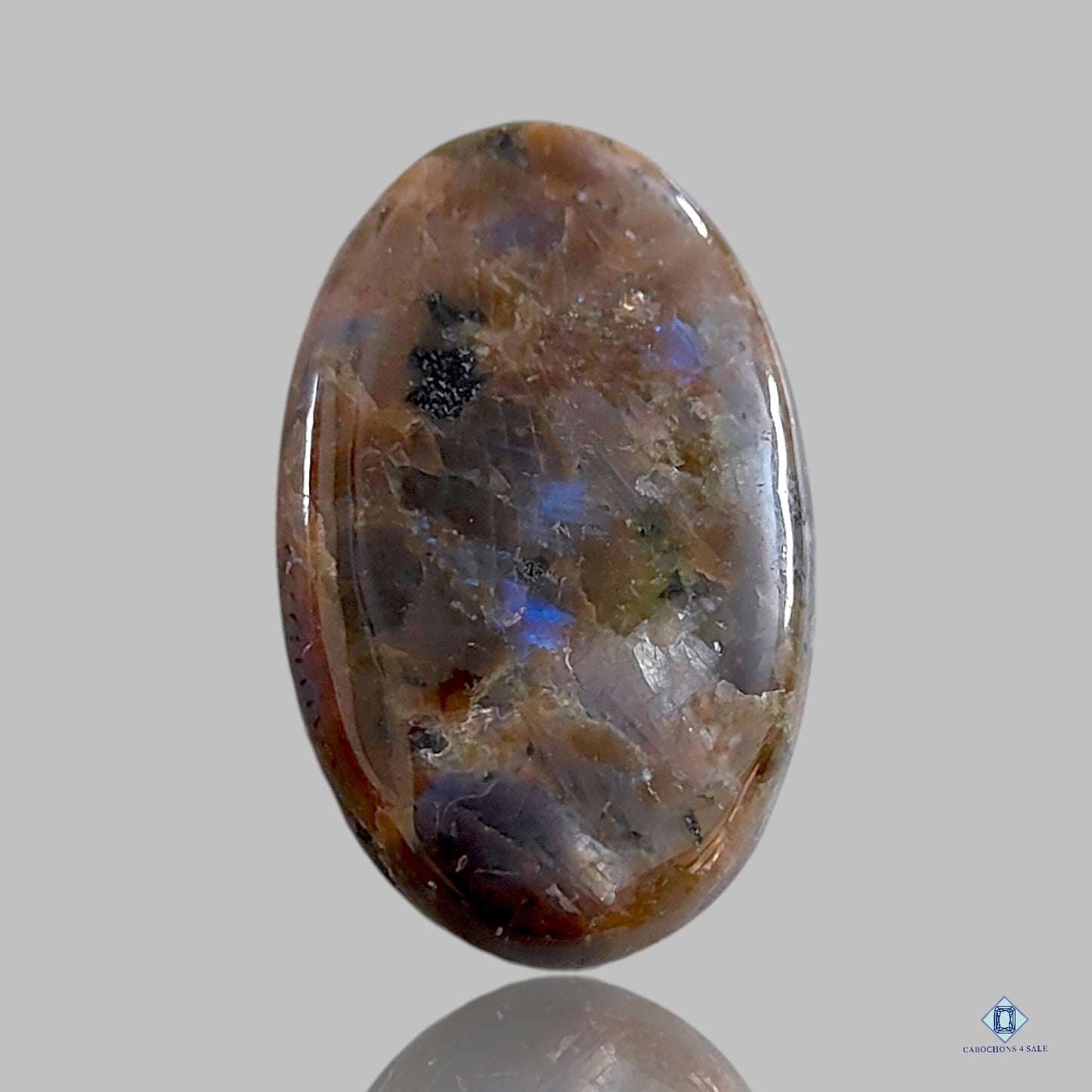 Cabujones Ovalados de Larvikita Marrón