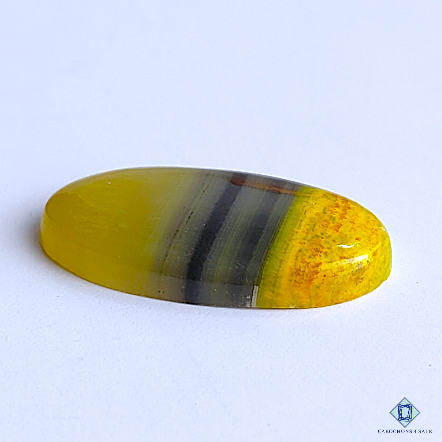 Bumble Bee Jasper