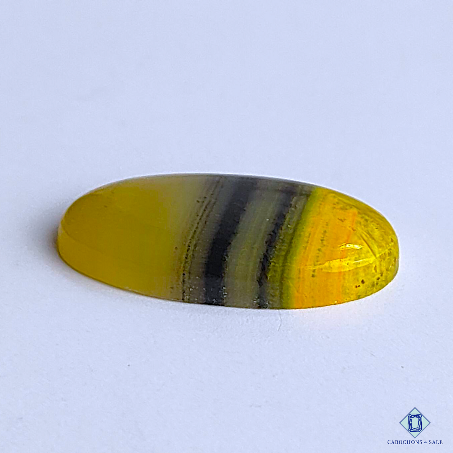 Bumble Bee Jasper