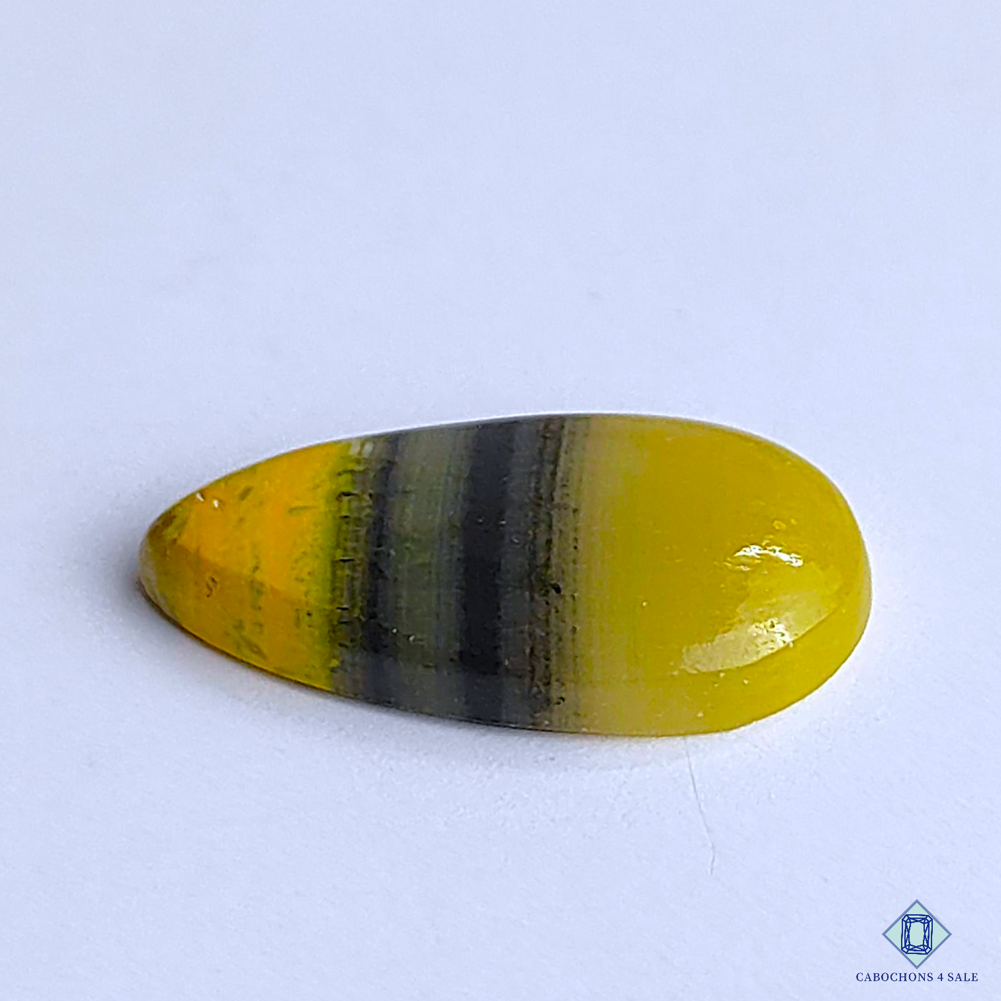Bumble Bee Jasper