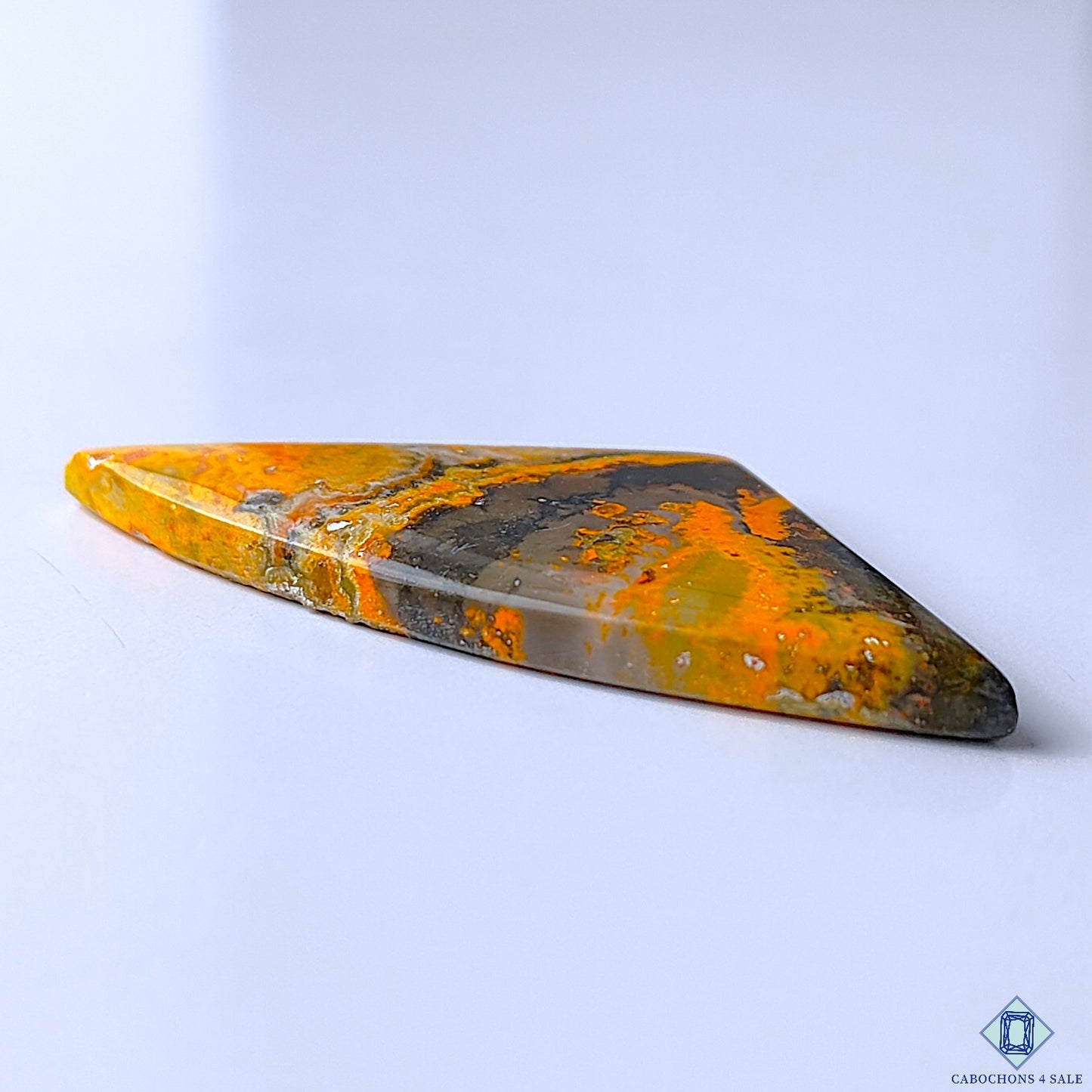 Bumble Bee Jasper