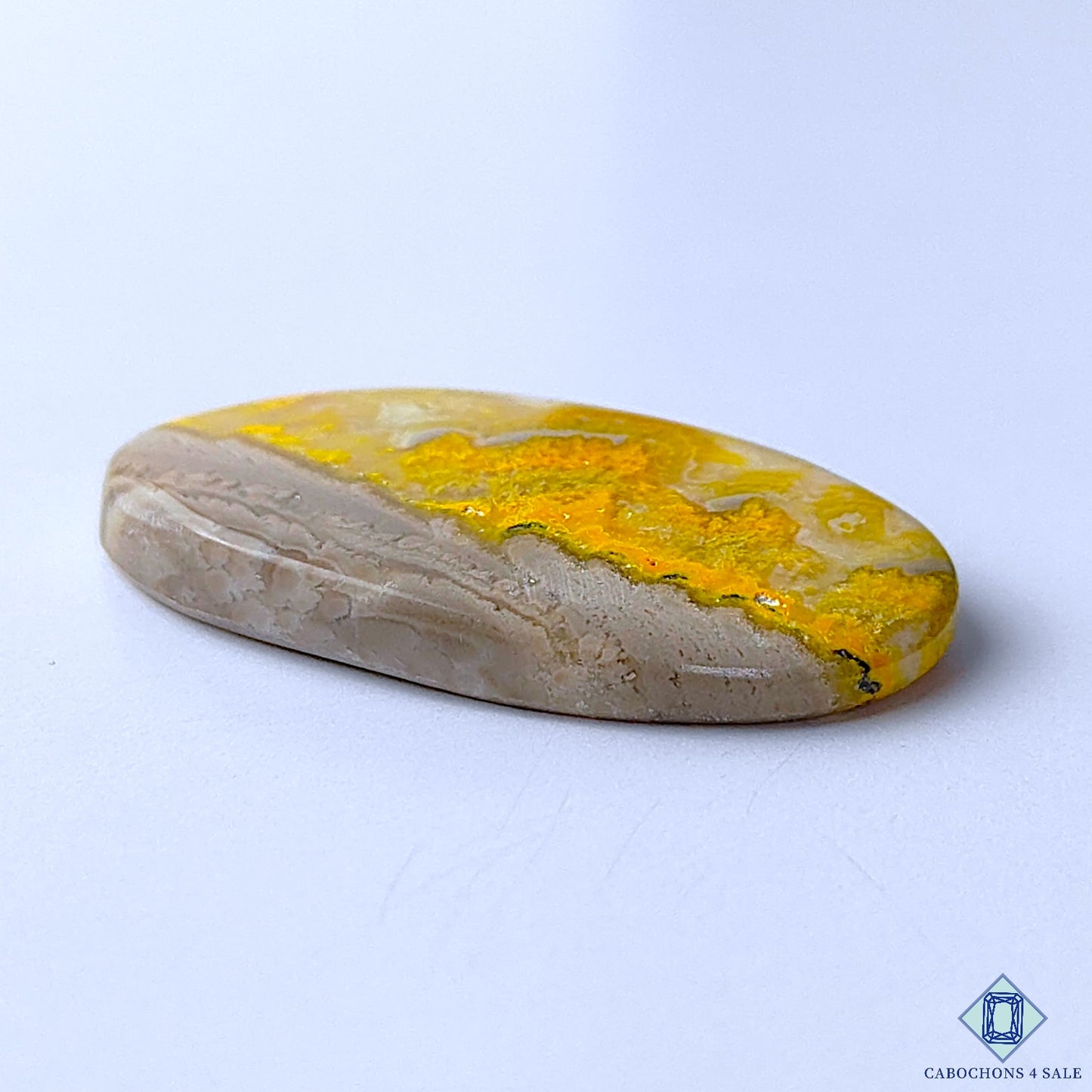 Bumble Bee Jasper