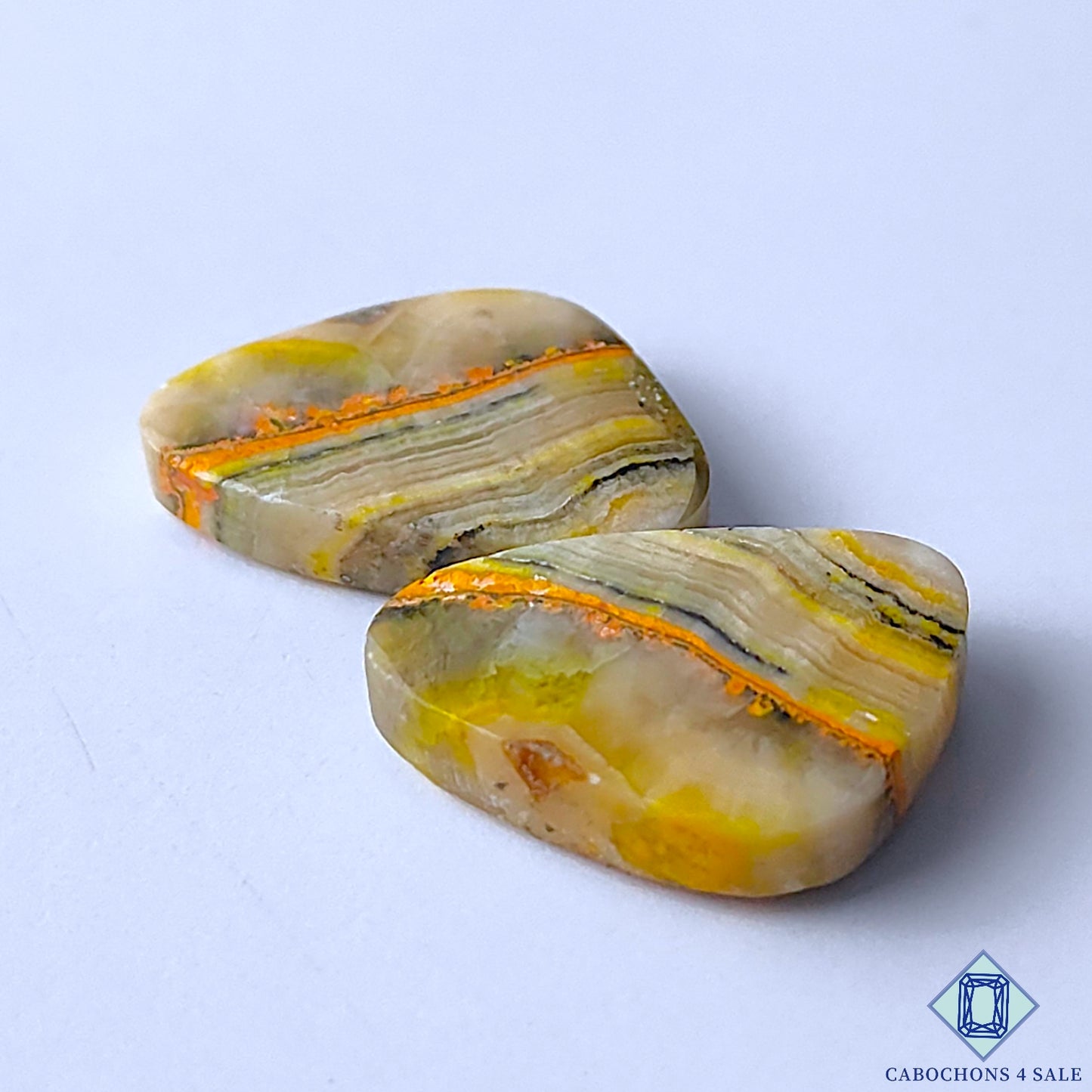 Bumble Bee Jasper