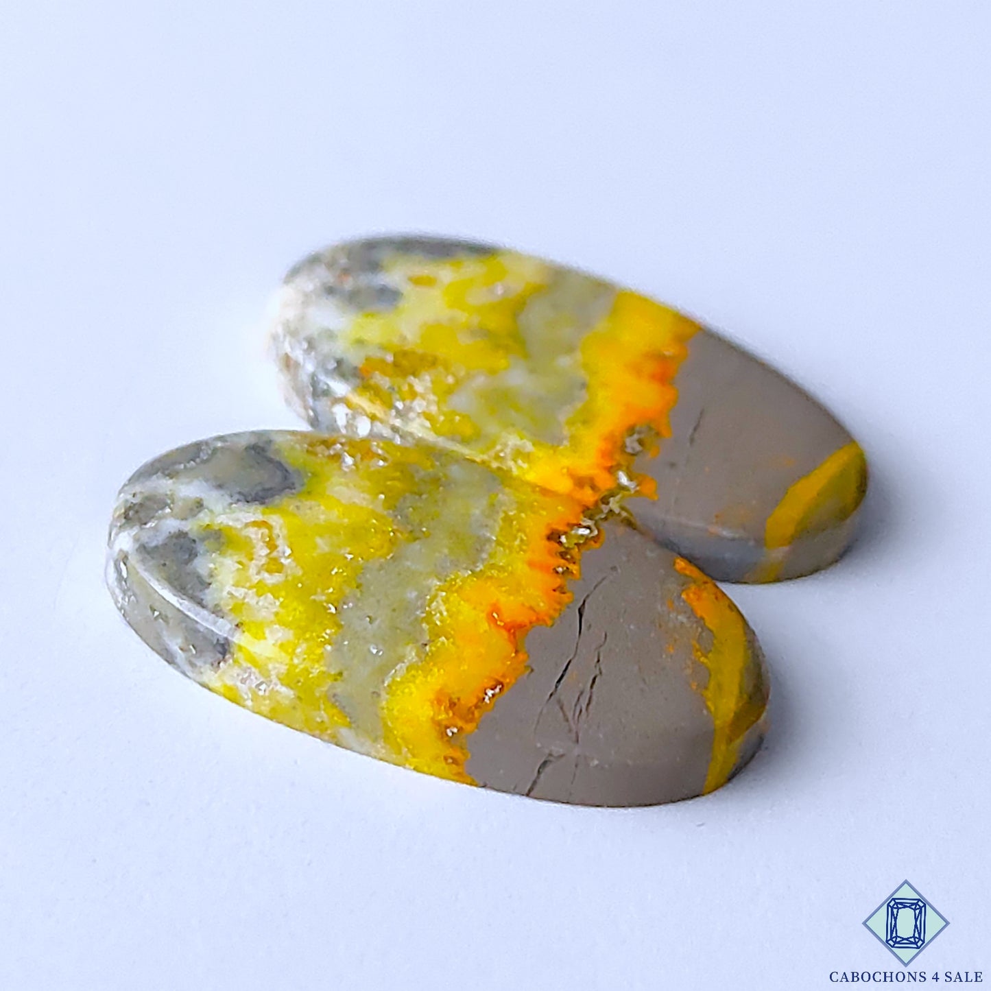 Bumble Bee Jasper