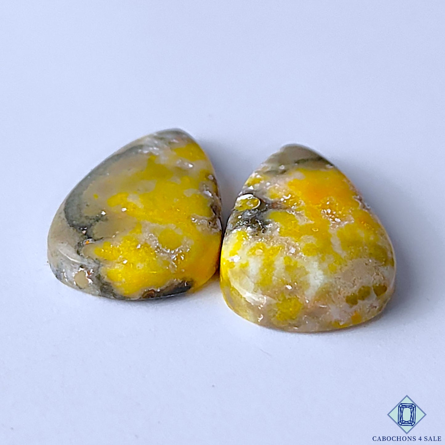 Bumble Bee Jasper