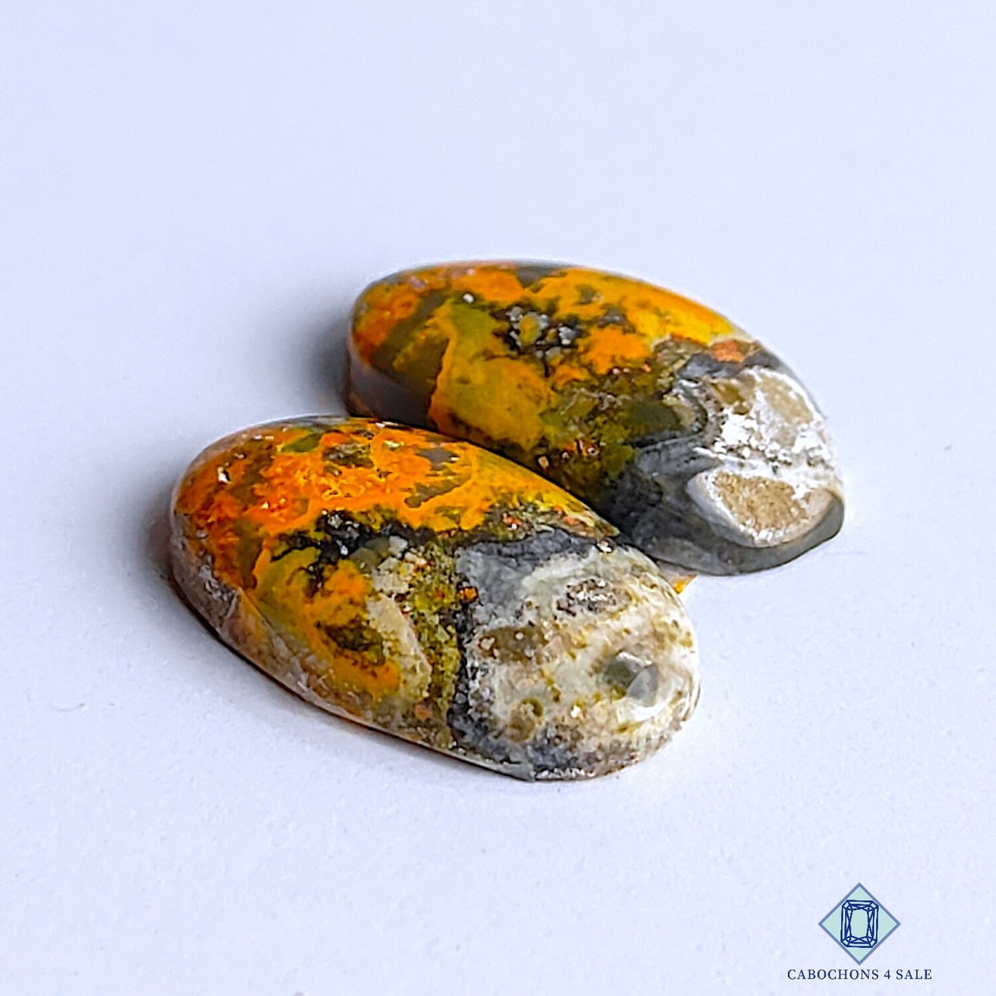 Bumblebee Jasper
