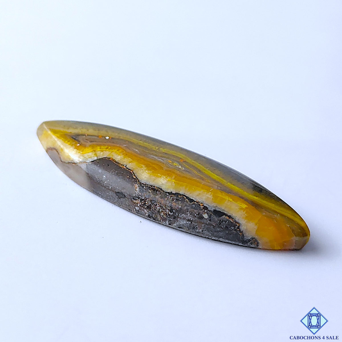 Bumblebee Jasper