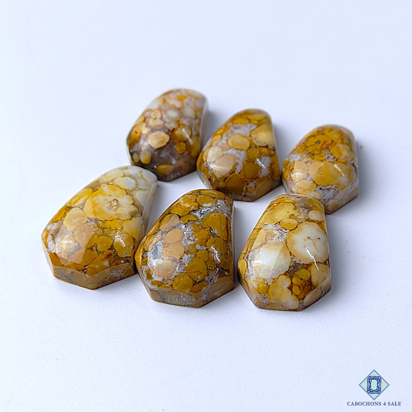 Cobra Jasper