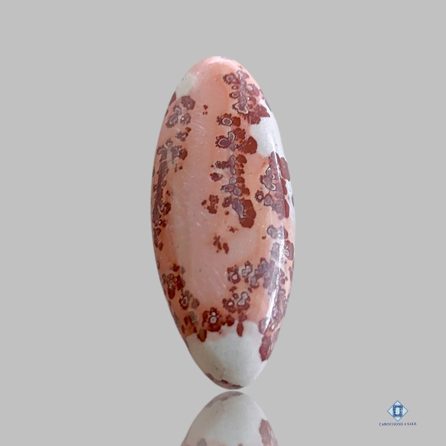 Cabujones marquesa de jaspe de grano de café