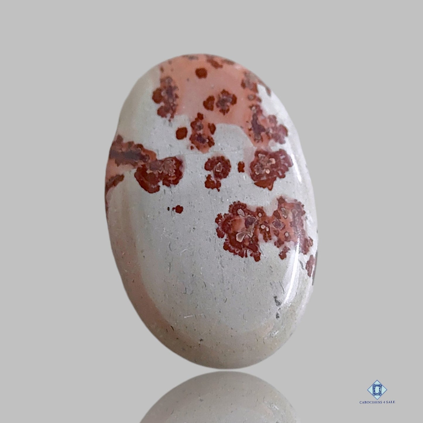 Cabujones ovalados de jaspe de grano de café