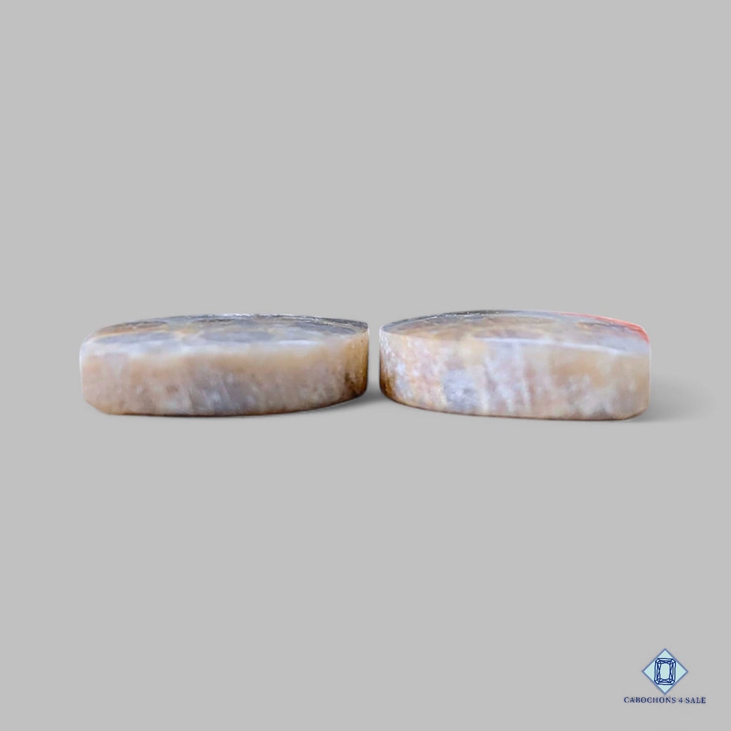 Natural Coral Fossil Gemstone Fancy Pairs 25*13*5mm from Indonesia available for sale