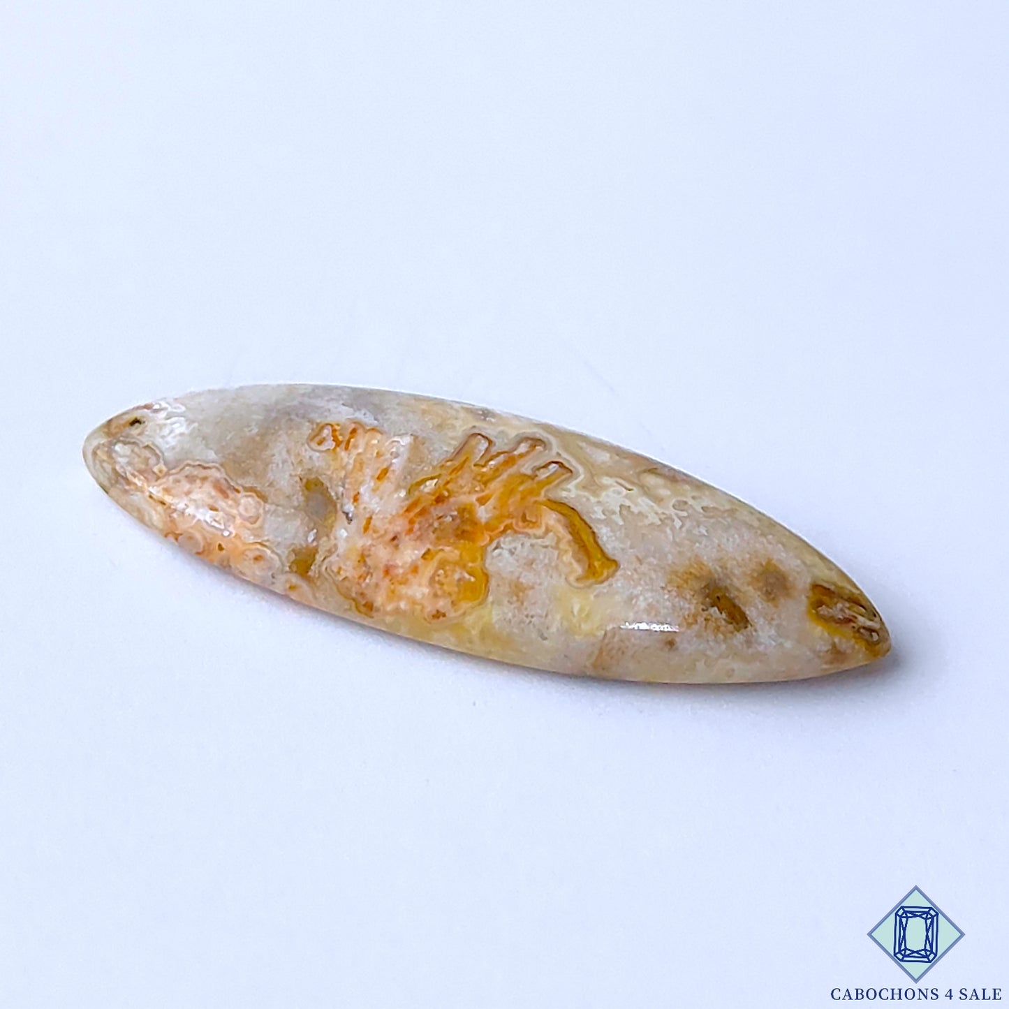 Crazy Lace Agate