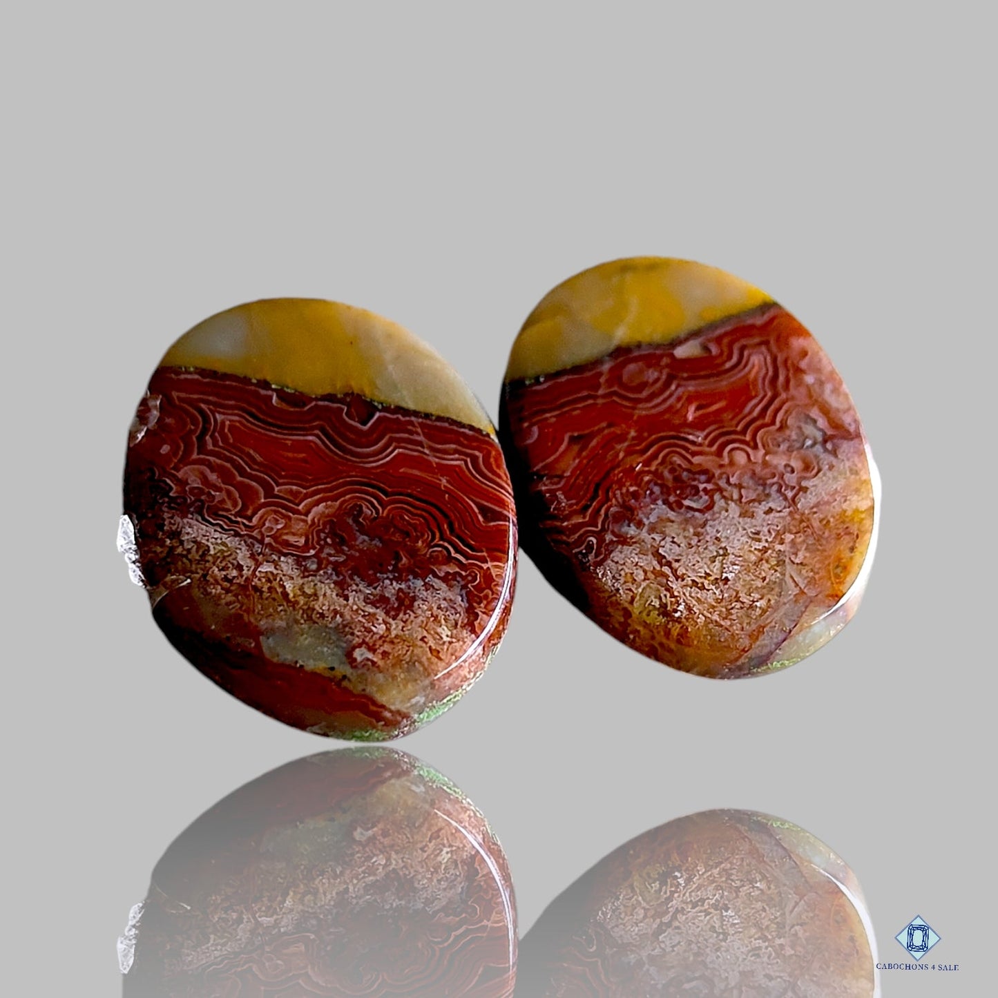 Pares ovalados de ágata de encaje loco