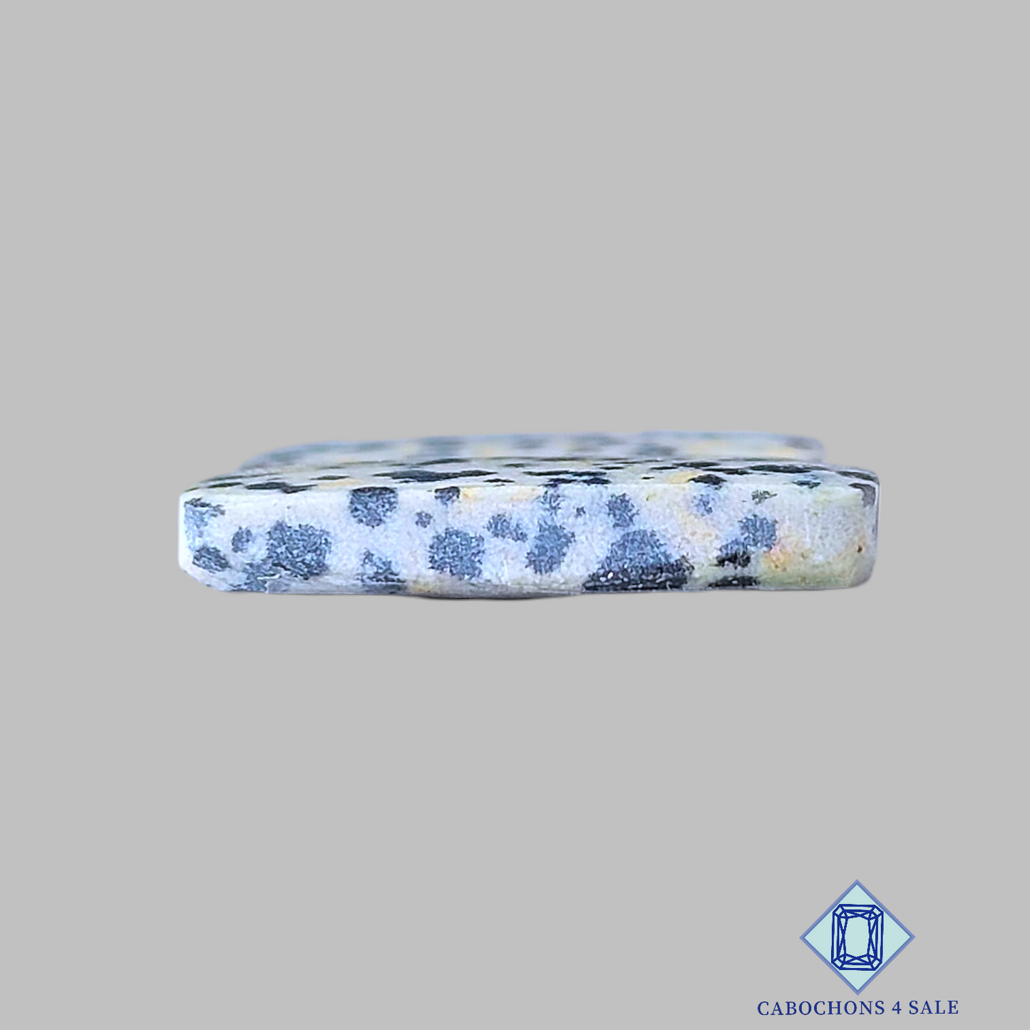 Dalmatian Jasper Fancy Pairs