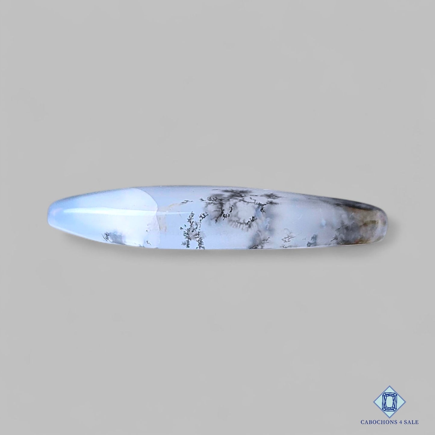 Dendritic Agate