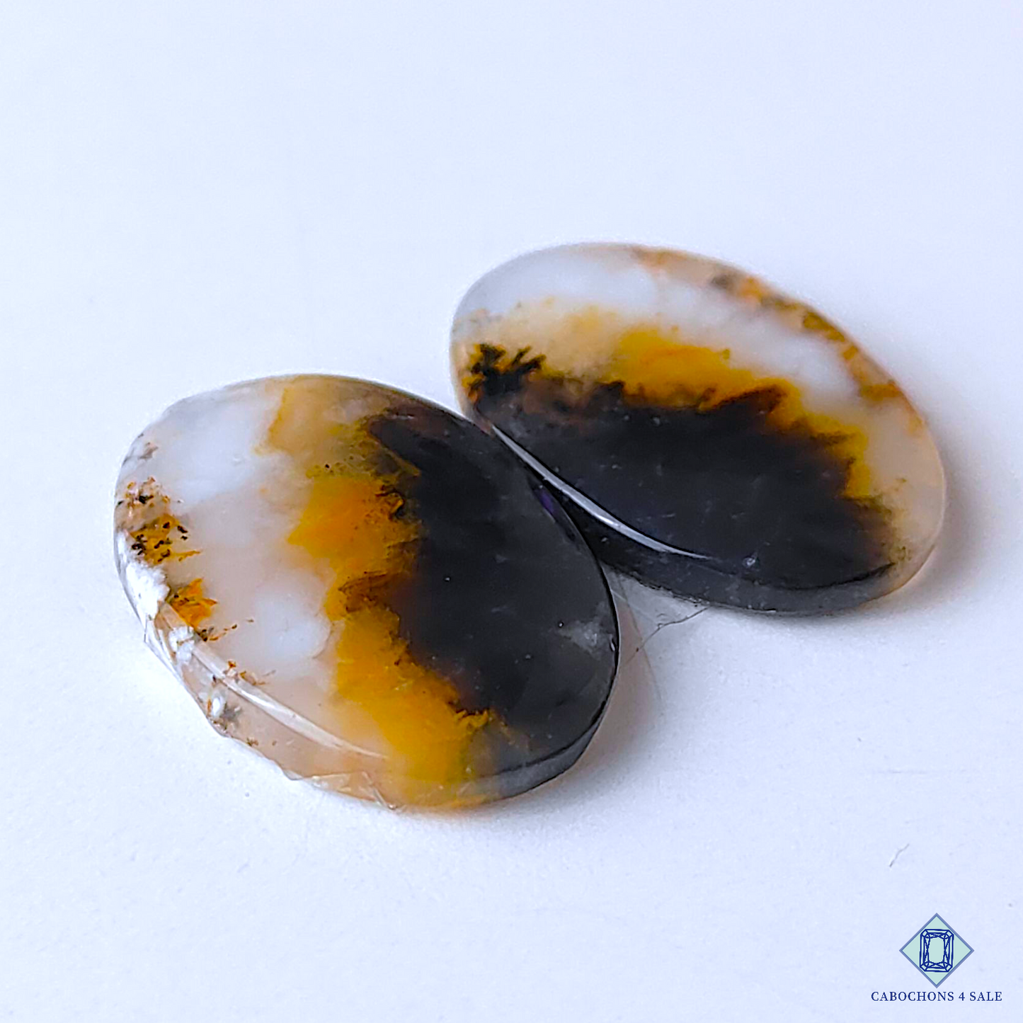 Dendritic Agate
