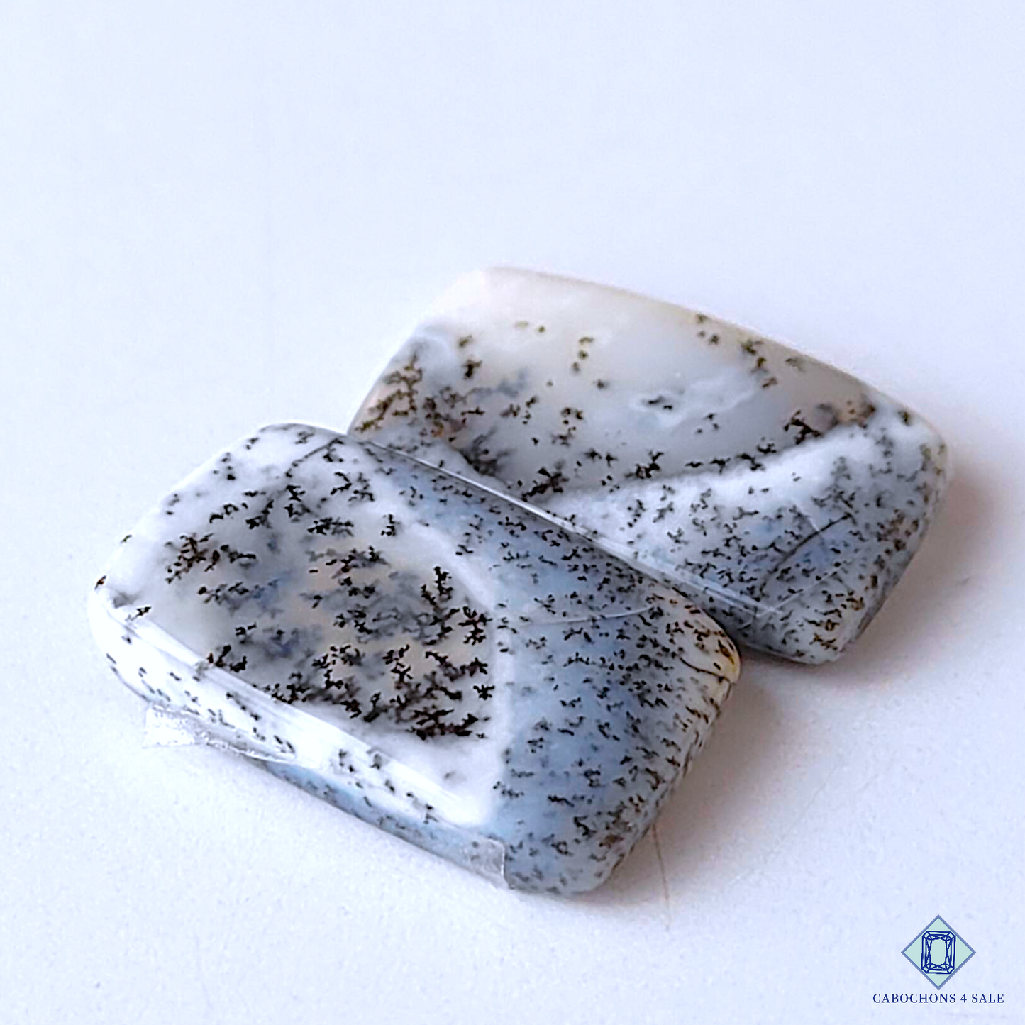 Dendritic Agate