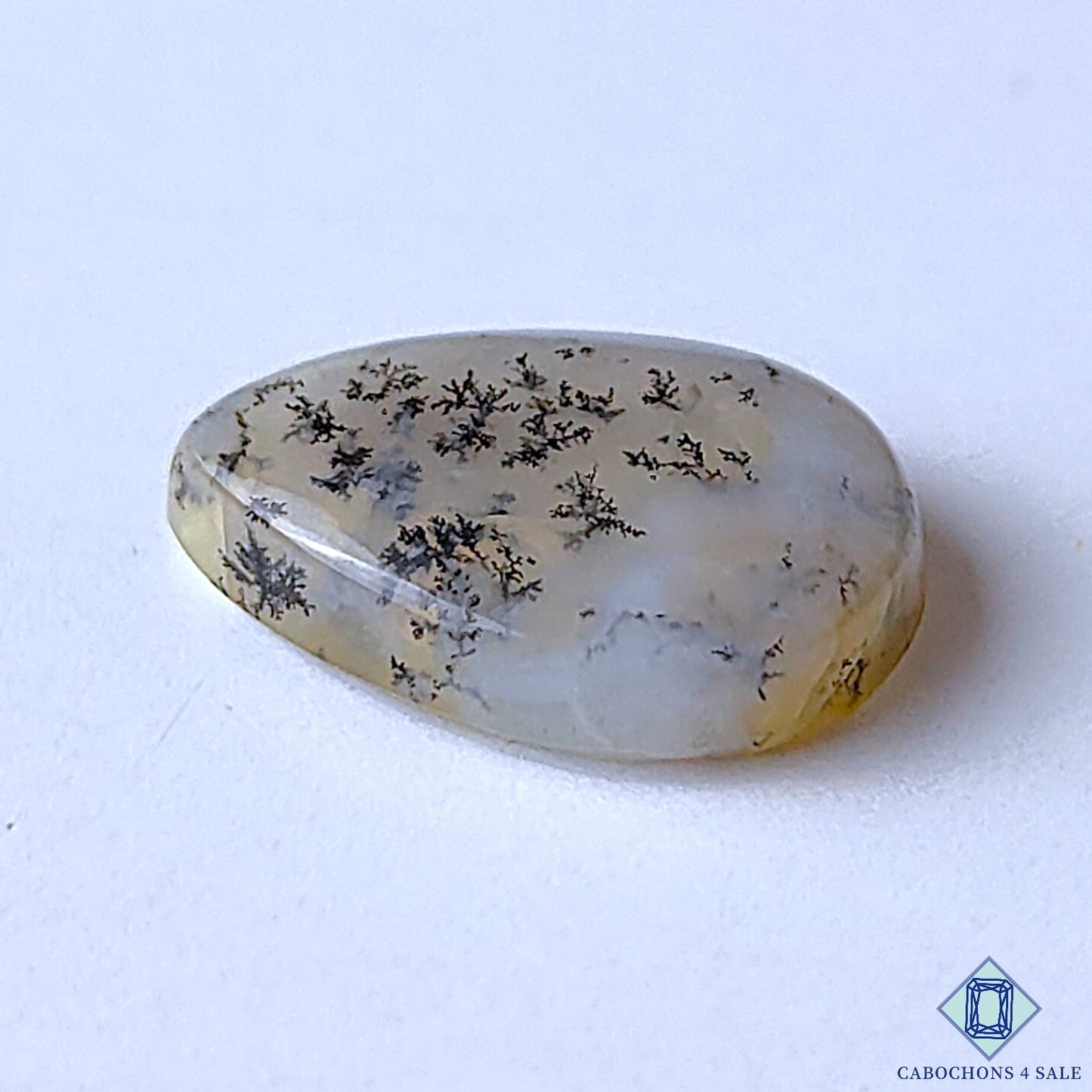 Dendritic Agate