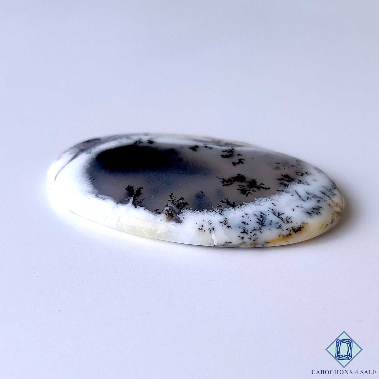 Dendritic Agate