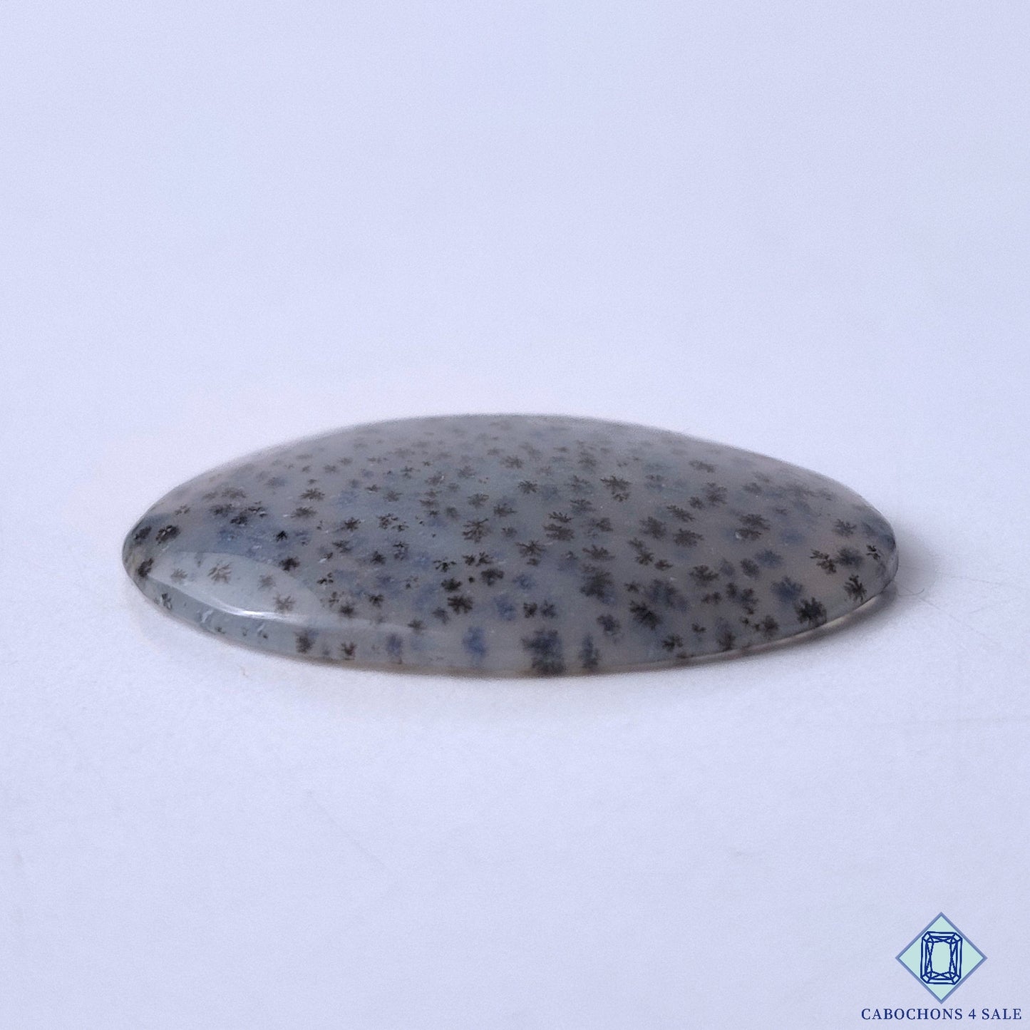 Dendritic Agate
